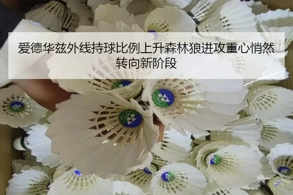 爱德华兹外线持球比例上升森林狼进攻重心悄然转向新阶段